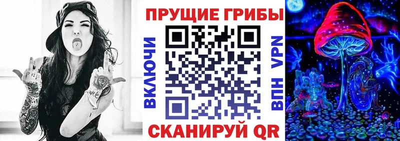купить наркотики сайты  Знаменск  Галлюциногенные грибы ЛСД 